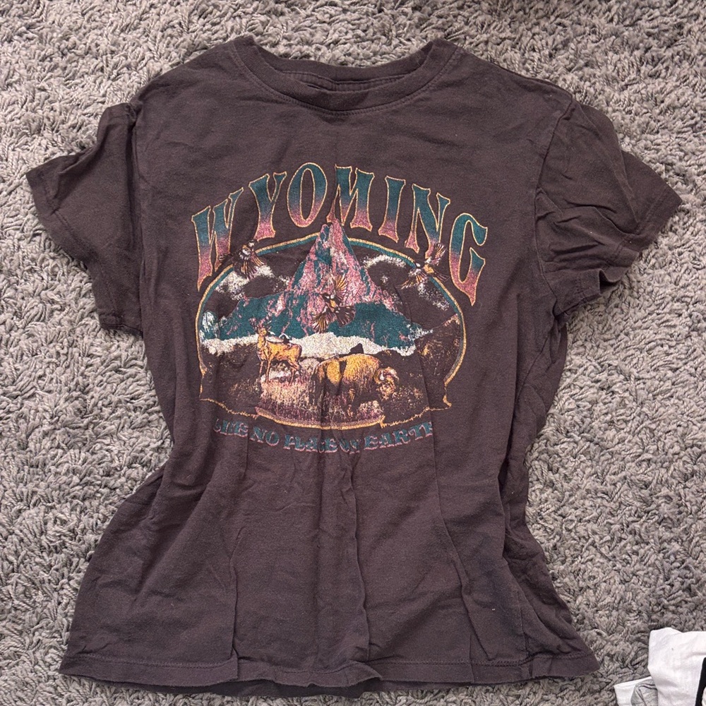 Vintage-Style Wyoming Graphic Tee - gray